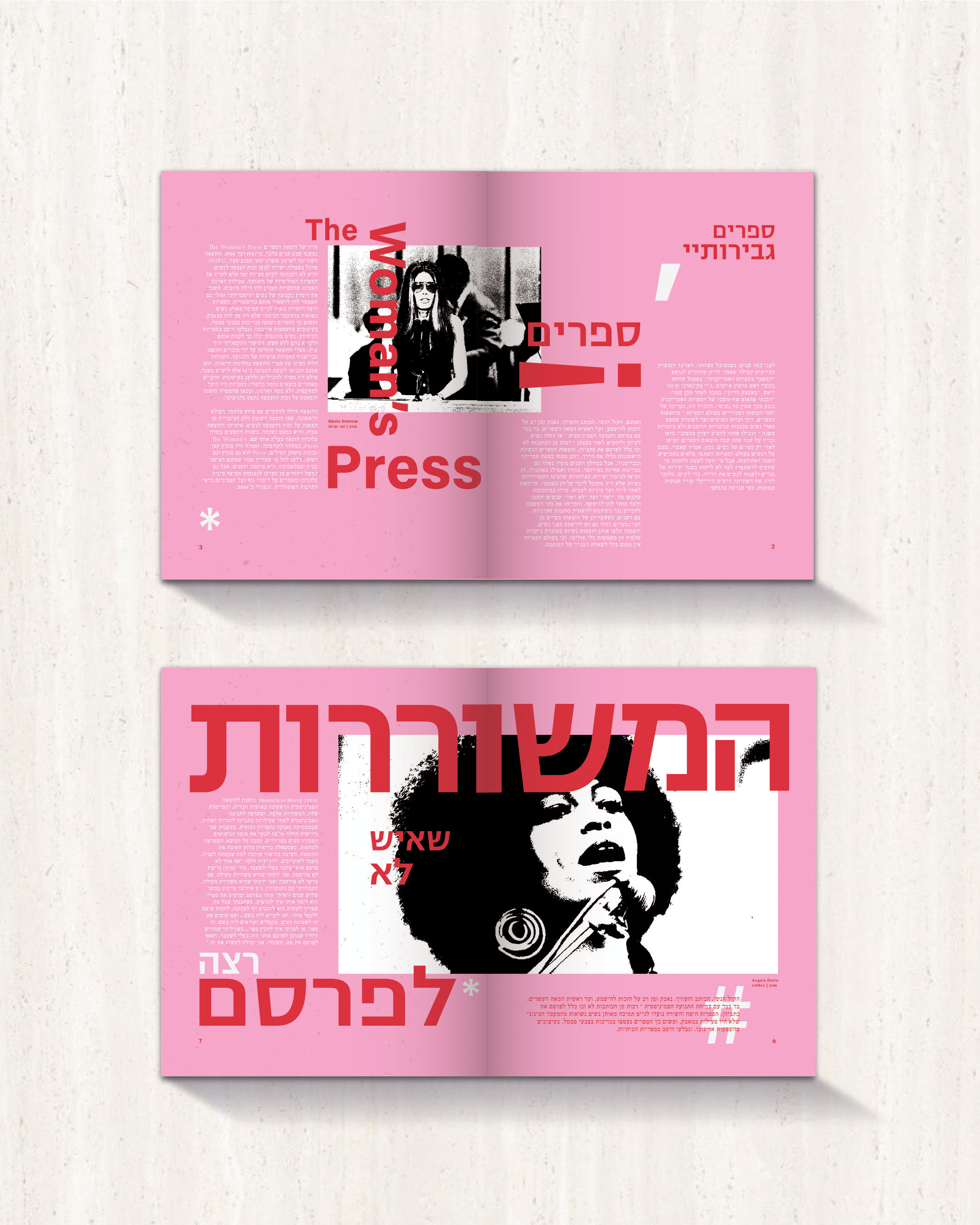 Women's Voices Detail 2